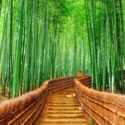 Escalera Bambu