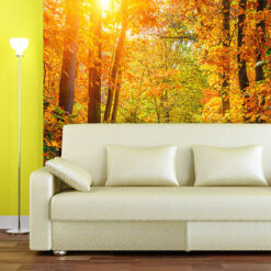 Fotomural Salon Bosque Otoño