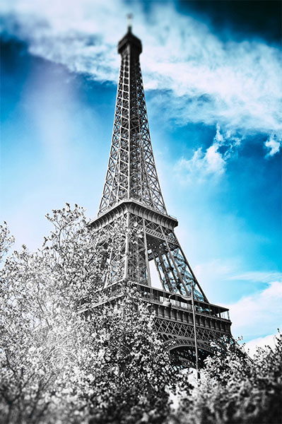 Fotomural de Sitios Famosos - Torre Eiffel en París