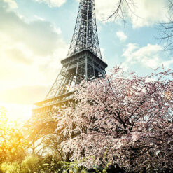 Lienzo Paris Torre Eiffel