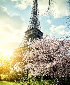 Lienzo Paris Torre Eiffel