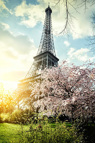 Lienzo Paris Torre Eiffel