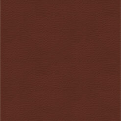 Piel Marron