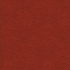 Piel Roja