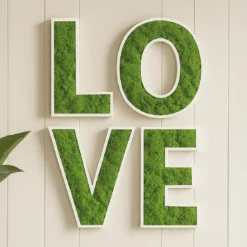 Letra Corporea LOVE de Musgo Preservado sobre PVC Blanco