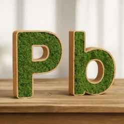 Letra Corporea (Letras Pb) de Madera DM con interior de Musgo Preservado