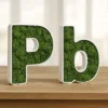 Letra Corporea (Letras Pb) de PVC Blanco con interior de Musgo Preservado