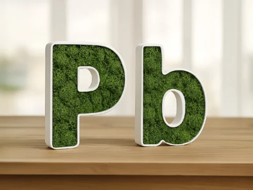 Letra Corporea (Letras Pb) de PVC Blanco con interior de Musgo Preservado